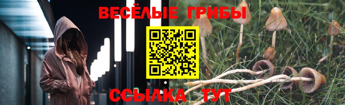 Муравленко  Галлюциногенные грибы MAGIC MUSHROOMS  как найти   Вход с VPN  Псилоцибиновые грибы Cubensis 